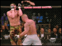 d1.gif