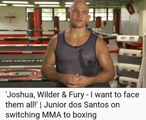d1.jpg