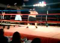 d1.gif
