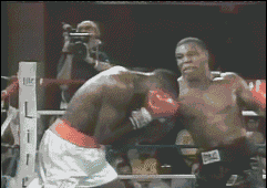 d1.gif